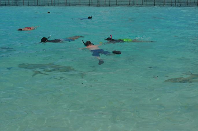 bora-bora-lagoonarium-2