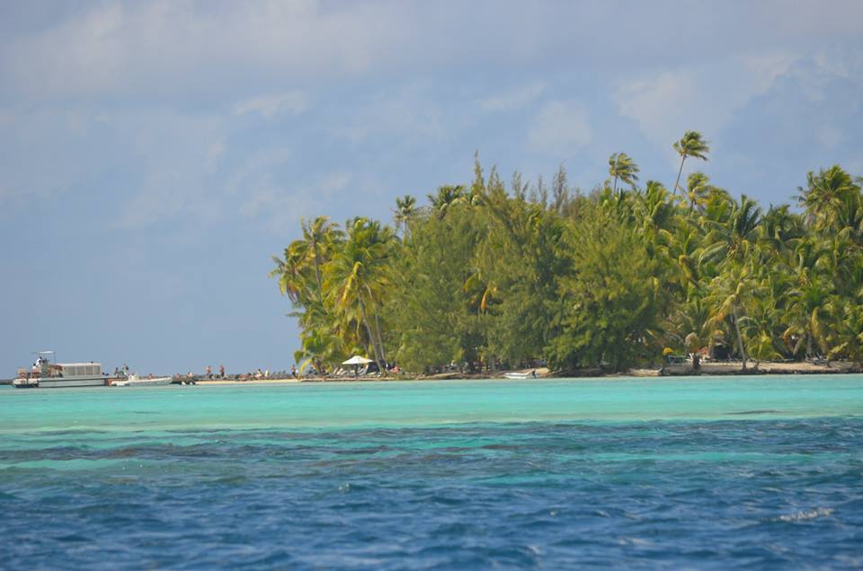 tahaa-from-the-tender